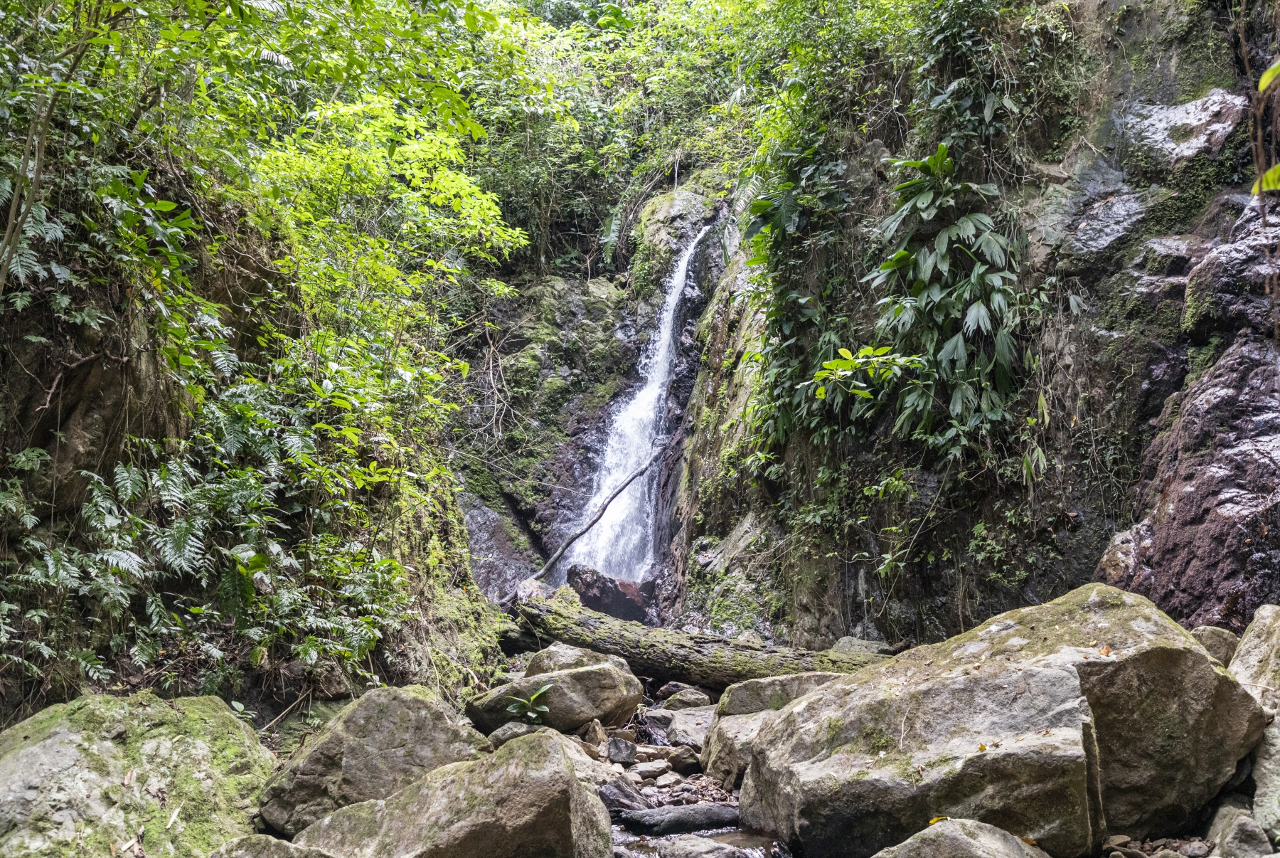 Bocawina Lower Falls, Mayflower Bocawina National Park, Belize